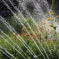 Le matériel d&rsquo;arrosage de jardin : un élément essentiel pour les passionnés de jardinage