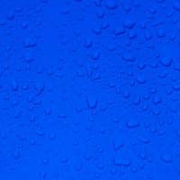 Découvrez les secrets de la couleur bleue Majorelle !