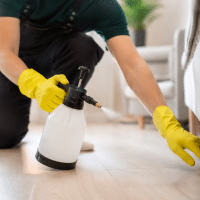 Quel est le meilleur insecticide ? – Le guide à lire avant d’acheter